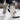Decemeber Hockey Guaranteed Hits - Hit Box Sports Cards